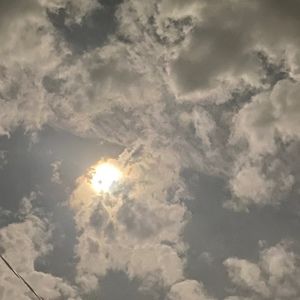 Meet your Posher, Nora